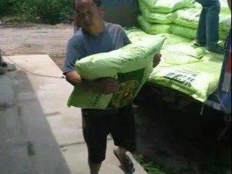 專業(yè)人工搬運(yùn)服務(wù) 安全高效，全面保障